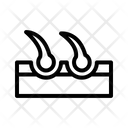 پیش‌نمایش فایل skin-7042068 از پک زیست شناسی