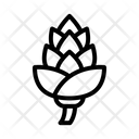 پیش‌نمایش فایل pine-cone-7140319 از پک بهار