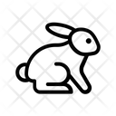 پیش‌نمایش فایل rabbit-3245375 از پک حیات وحش