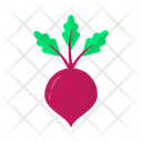 پیش‌نمایش فایل beetroot-3635114 از پک میوه ها و سبزیجات