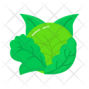 پیش‌نمایش فایل cabbage-3635116 از پک میوه ها و سبزیجات