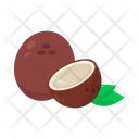 پیش‌نمایش فایل coconut-3635119 از پک میوه ها و سبزیجات