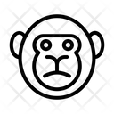 پیش‌نمایش فایل gorilla-4234336 از پک جنگل