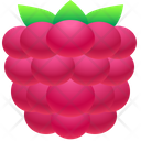 پیش‌نمایش فایل raspberry-6762495 از پک غذا