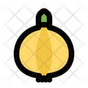 پیش‌نمایش فایل onion-9638525 از پک غذا