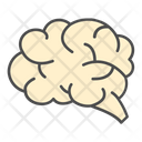 پیش‌نمایش فایل brain-1450838 از پک مراقبت های بهداشتی و پزشکی