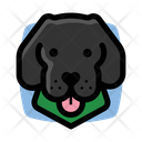 پیش‌نمایش فایل black-dog-3179640 از پک سگ ها