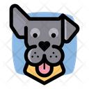 پیش‌نمایش فایل gray-dog-3179643 از پک سگ ها