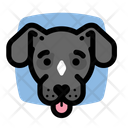 پیش‌نمایش فایل mutt-black-dog-3179644 از پک سگ ها