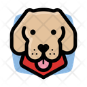 پیش‌نمایش فایل yellow-labrador-3179646 از پک سگ ها