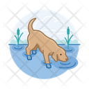 پیش‌نمایش فایل dog-drinking-water-3179650 از پک سگ ها