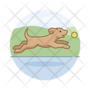پیش‌نمایش فایل dog-fetching-ball-3179651 از پک سگ ها