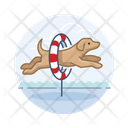 پیش‌نمایش فایل dog-jumping-hoop-3179652 از پک سگ ها