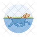پیش‌نمایش فایل dog-swimming-3179653 از پک سگ ها