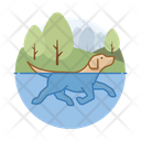 پیش‌نمایش فایل dog-swimming-3179654 از پک سگ ها