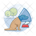 پیش‌نمایش فایل dog-with-bone-3179649 از پک سگ ها
