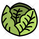 پیش‌نمایش فایل cabbage-4238415 از پک غذا