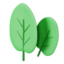 پیش‌نمایش فایل spinach-8770085 از پک غذا
