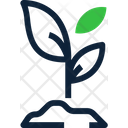 پیش‌نمایش فایل plant-5340403 از پک کشاورزی