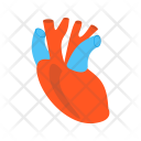 پیش‌نمایش فایل heart-1252 از پک پزشکی فلت چندرنگ