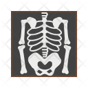 پیش‌نمایش فایل skeleton-38 از پک پزشکی فلت چندرنگ
