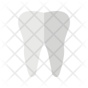پیش‌نمایش فایل tooth-128 از پک پزشکی فلت چندرنگ