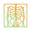 پیش‌نمایش فایل skeleton-1698433 از پک پزشکی