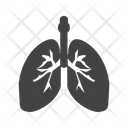 پیش‌نمایش فایل lungs-1698325 از پک پزشکی