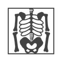 پیش‌نمایش فایل skeleton-1698335 از پک پزشکی