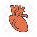 پیش‌نمایش فایل heart-1196 از پک پزشکی خط پر