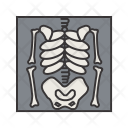 پیش‌نمایش فایل skeleton-34 از پک پزشکی خط پر