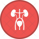 پیش‌نمایش فایل excretory-5 از پک گلیف پزشکی دایره ای چندرنگ با پس زمینه