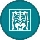 پیش‌نمایش فایل skeleton-36 از پک گلیف پزشکی دایره ای چندرنگ با پس زمینه