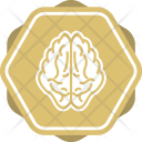 پیش‌نمایش فایل brain-343 از پک پزشکی با پس زمینه رنگی پر