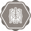 پیش‌نمایش فایل skeleton-37 از پک پزشکی با پس زمینه رنگی پر