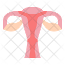 پیش‌نمایش فایل vagina-5437949 از پک برابری زنان