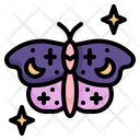 پیش‌نمایش فایل butterfly-7815098 از پک جادو