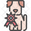 پیش‌نمایش فایل dog-1682819 از پک آرایشگاه حیوانات خانگی
