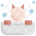 پیش‌نمایش فایل cat-bathtub-1682850 از پک آرایشگاه حیوانات خانگی