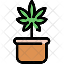 پیش‌نمایش فایل cannabis-plant-1777701 از پک شاهدانه و پزشکی