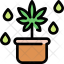 پیش‌نمایش فایل cannabis-pot-1777687 از پک شاهدانه و پزشکی