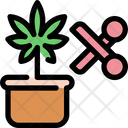 پیش‌نمایش فایل cut-cannabis-plant-1777681 از پک شاهدانه و پزشکی