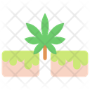 پیش‌نمایش فایل cannabis-brownie-1777704 از پک شاهدانه و پزشکی