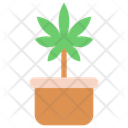 پیش‌نمایش فایل cannabis-plant-pot-1777731 از پک شاهدانه و پزشکی