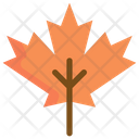 پیش‌نمایش فایل maple-1832906 از پک پاییز