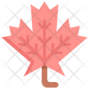پیش‌نمایش فایل maple-1895880 از پک شکرگزاری