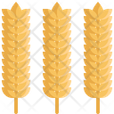 پیش‌نمایش فایل rice-1895882 از پک شکرگزاری