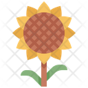 پیش‌نمایش فایل sunflower-1895876 از پک شکرگزاری