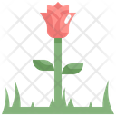 پیش‌نمایش فایل rose-2149372 از پک روز عید پاک