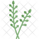 پیش‌نمایش فایل willow-2149384 از پک روز عید پاک